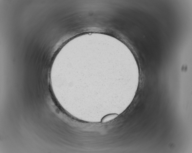X0000110960011200907311117