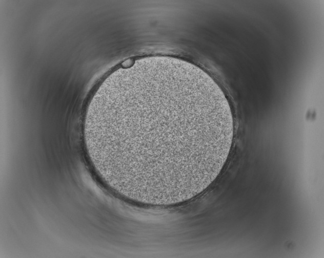 X0000110960012200907311117