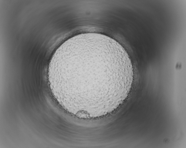 X0000110960014200907311117