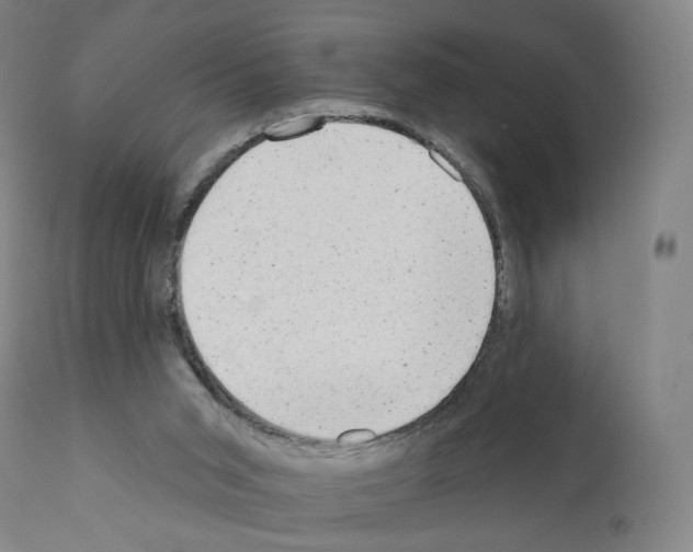 X0000110960015200907311117