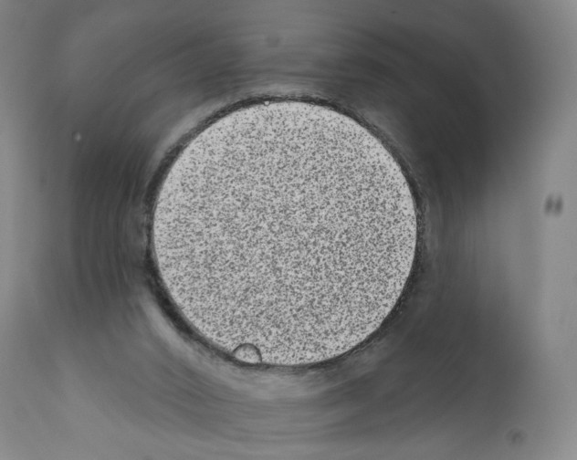 X0000110960016200907311117