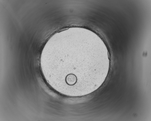 X0000110960017200907311117