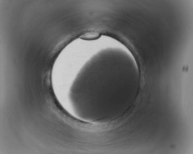 X0000110960019200907311117