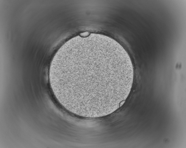 X0000110960020200907311117