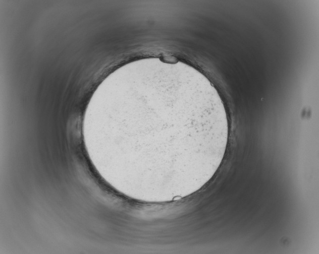 X0000110960021200907311117