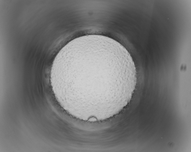 X0000110960022200907311117