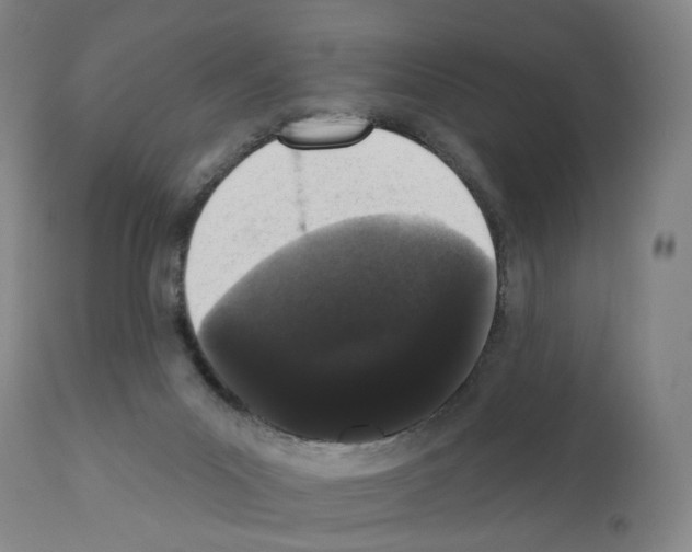 X0000110960023200907311117