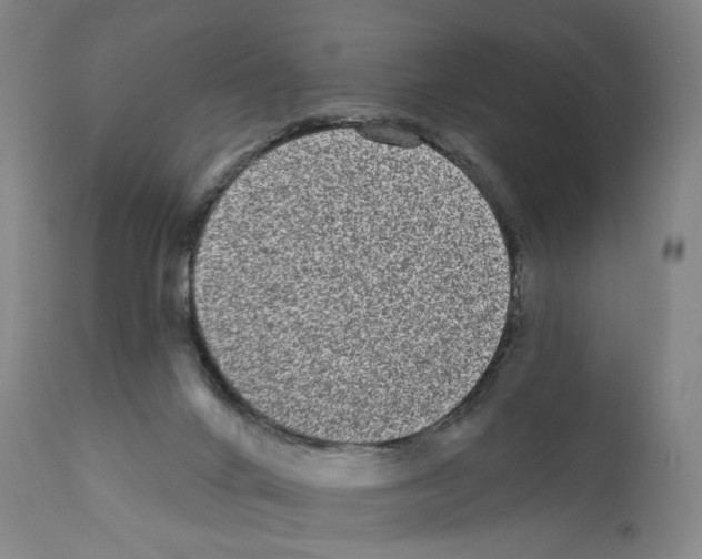 X0000110960024200907311117