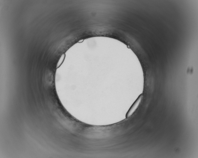 X0000110960025200907311117