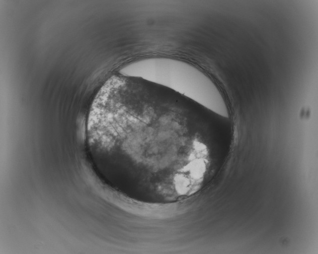X0000110960027200907311117