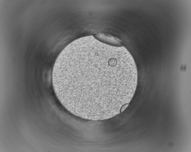 X0000110960028200907311117
