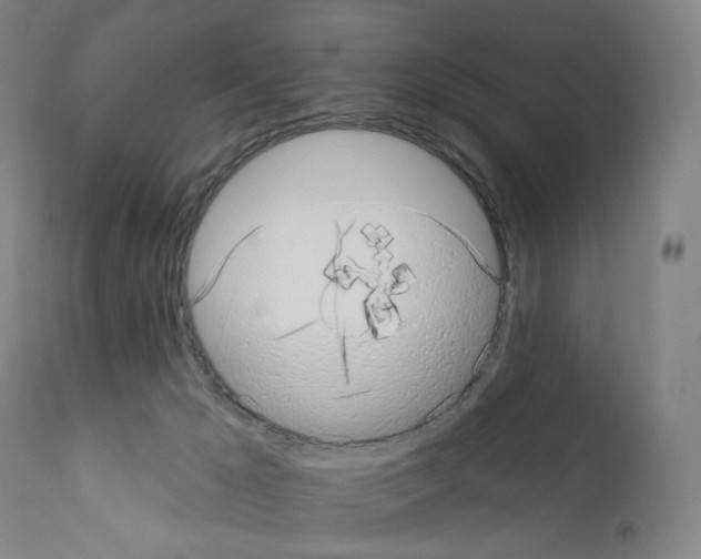 X0000110960029200907311117