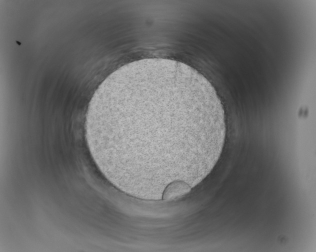X0000110960030200907311117