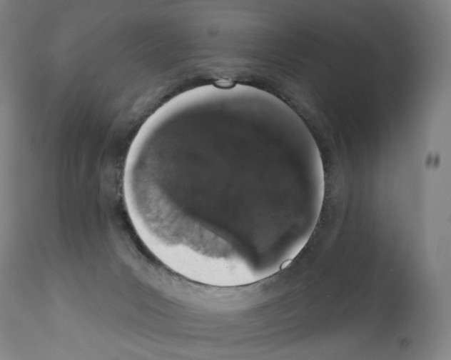 X0000110960031200907311117