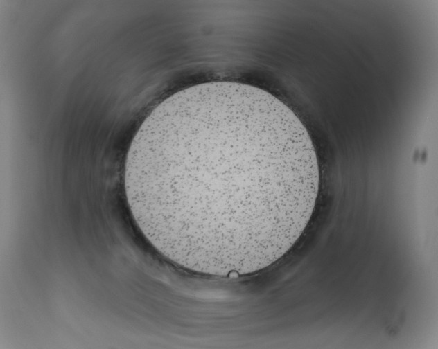 X0000110960032200907311117