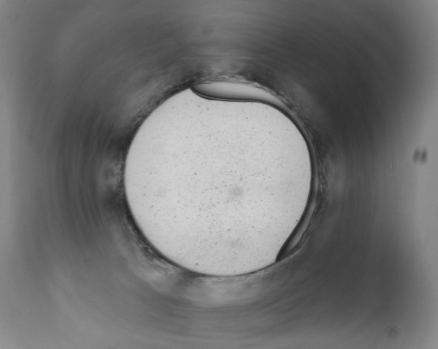 X0000110960033200907311117