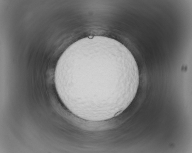 X0000110960034200907311117