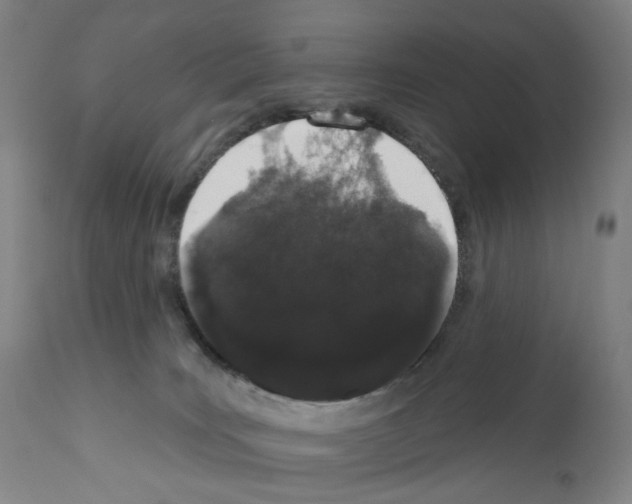 X0000110960035200907311117