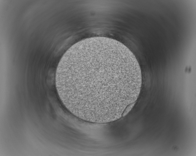 X0000110960036200907311117
