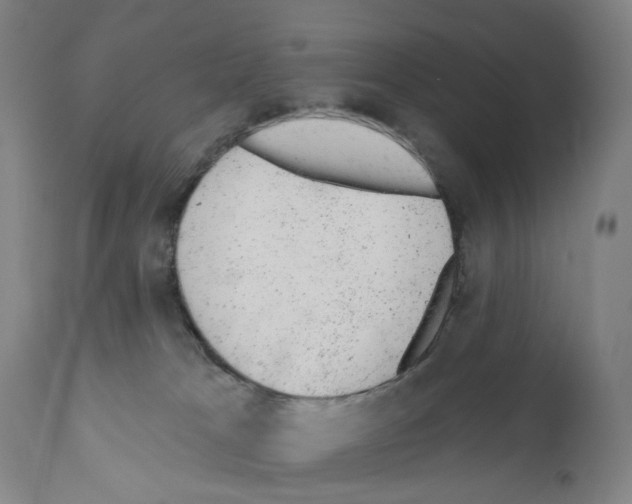 X0000110960037200907311117