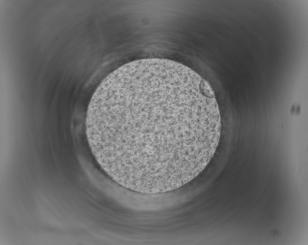 X0000110960038200907311117