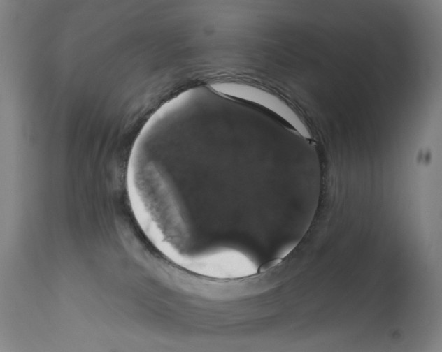 X0000110960039200907311117