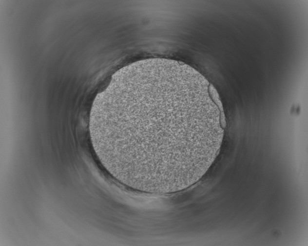 X0000110960040200907311117