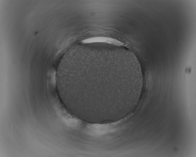 X0000110960041200907311117