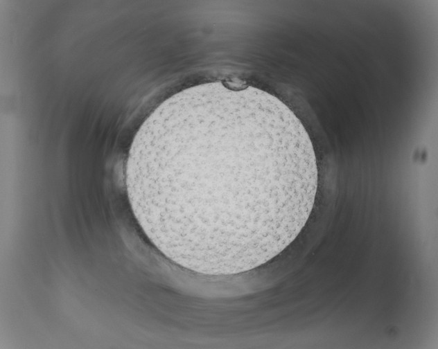 X0000110960042200907311117