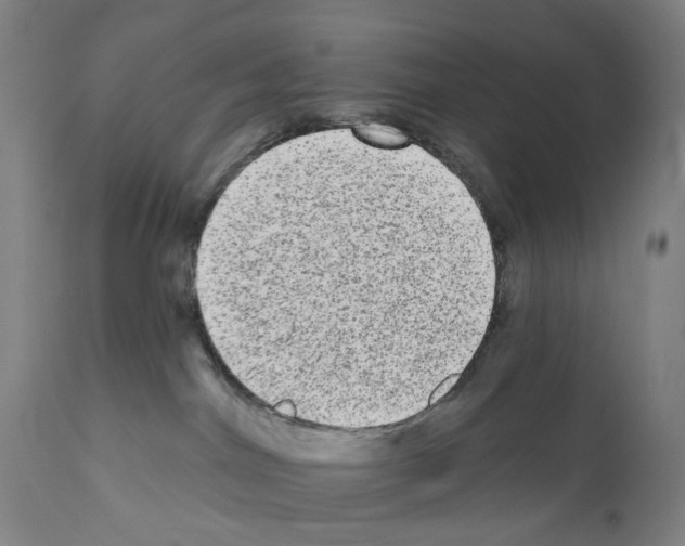 X0000110960044200907311117