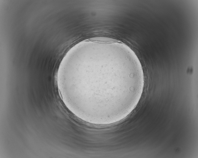 X0000110960047200907311116