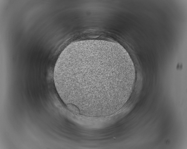 X0000110960048200907311116