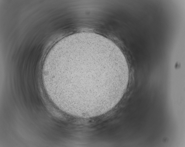X0000110960049200907311116
