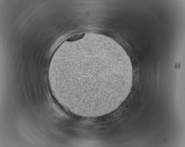 X0000110960051200907311116