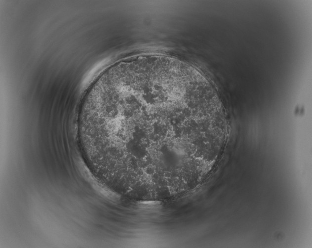 X0000110960053200907311116