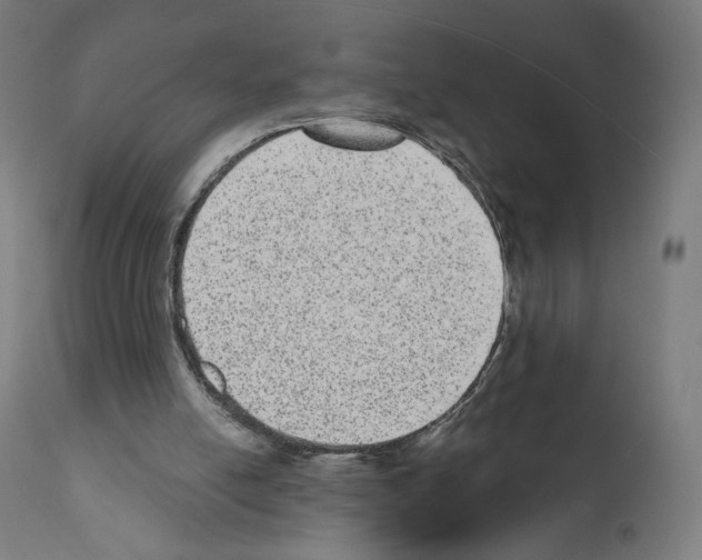 X0000110960054200907311116