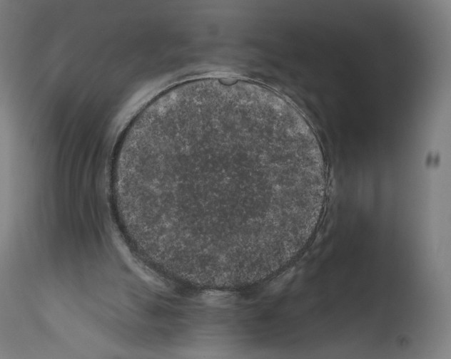 X0000110960055200907311116