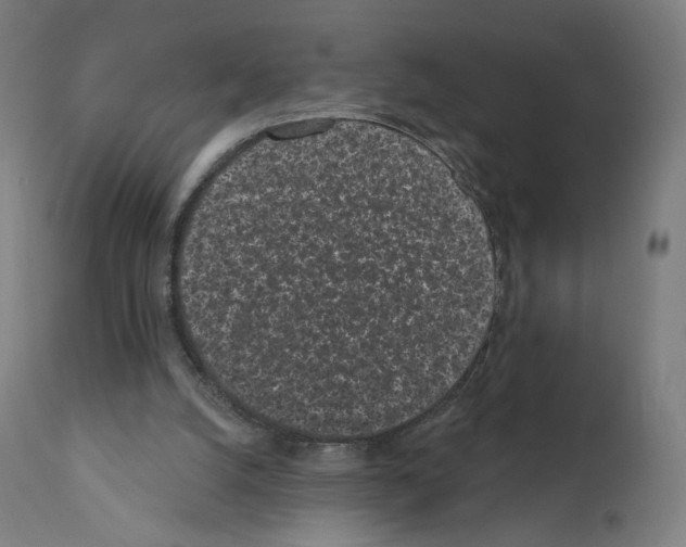 X0000110960056200907311116