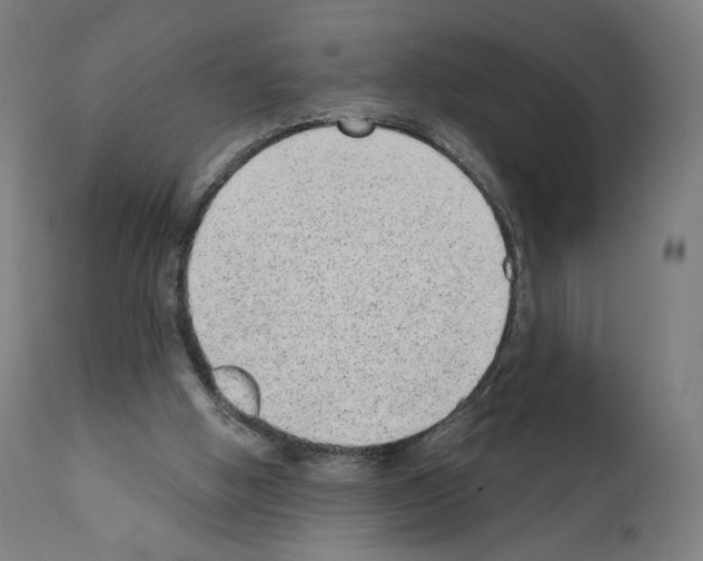 X0000110960058200907311116
