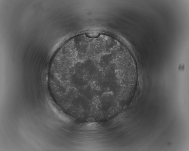 X0000110960059200907311116