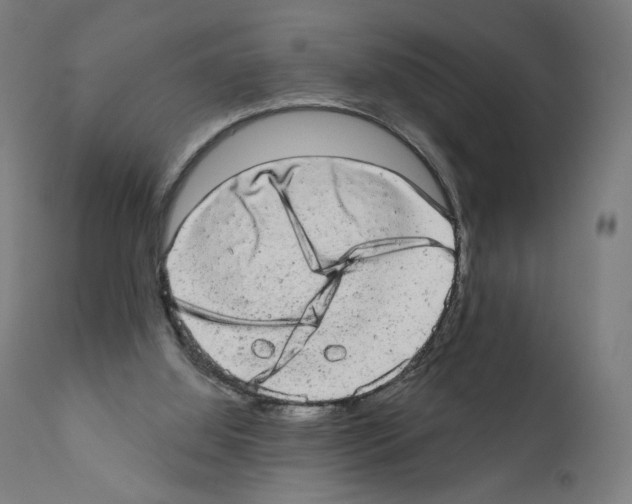 X0000110960060200907311116