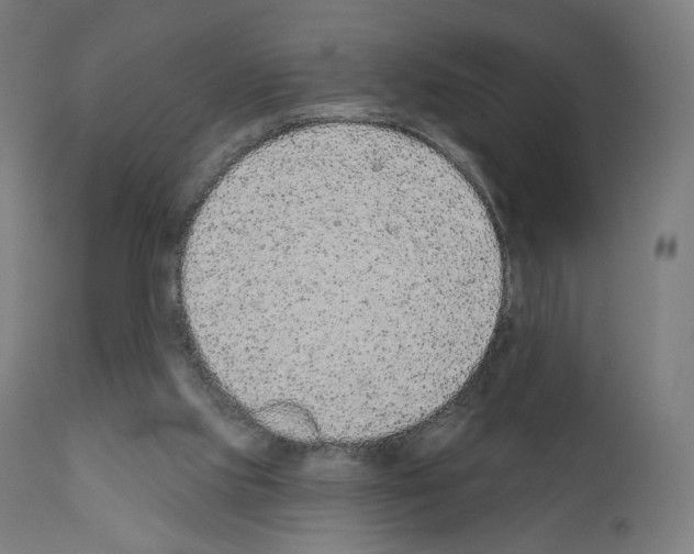 X0000110960061200907311116