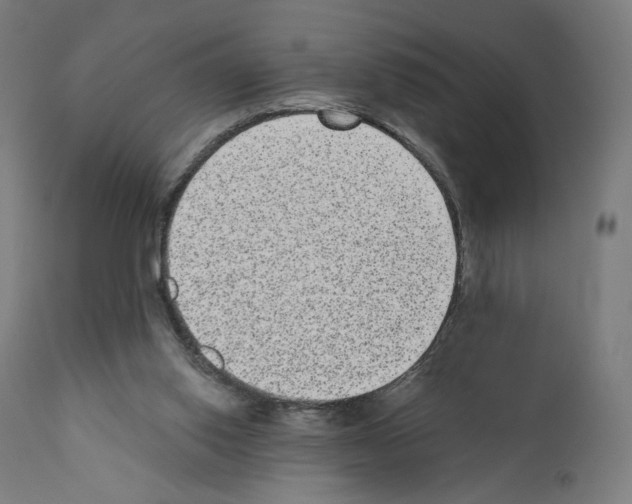 X0000110960062200907311116