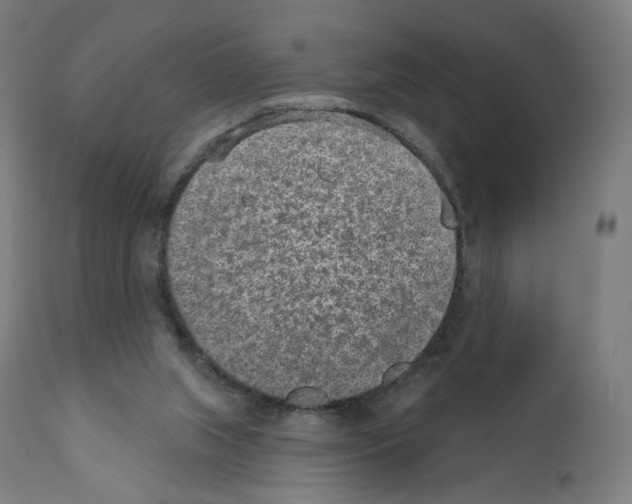X0000110960063200907311116