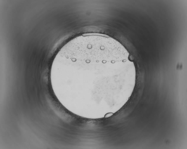 X0000110960064200907311116