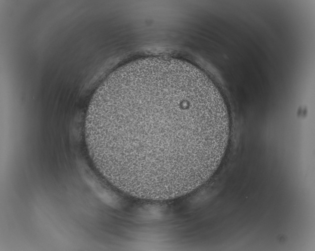 X0000110960065200907311116