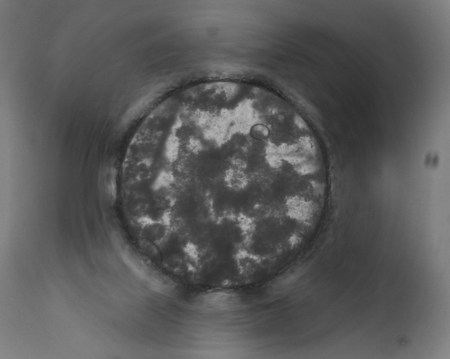 X0000110960067200907311116