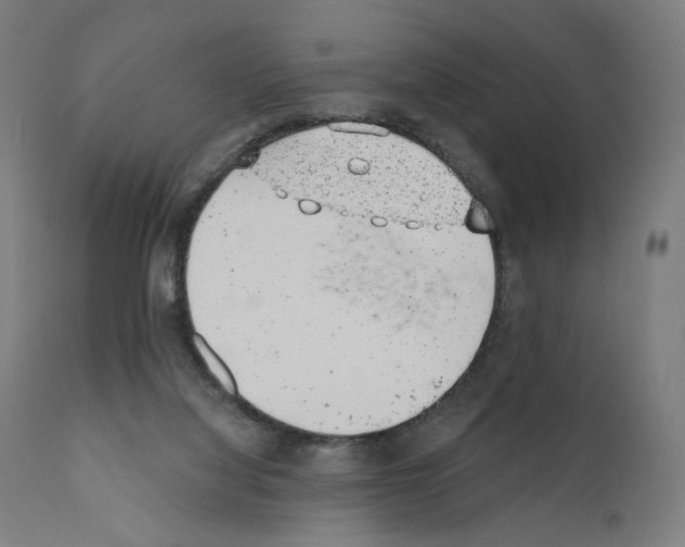 X0000110960068200907311116