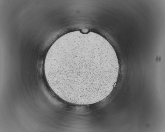 X0000110960070200907311116