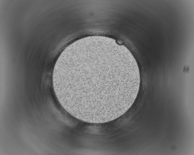 X0000110960071200907311116